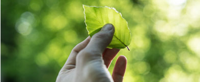 Corporate social responisibility ANL Plastics Corporate social responisibility ANL Plastics