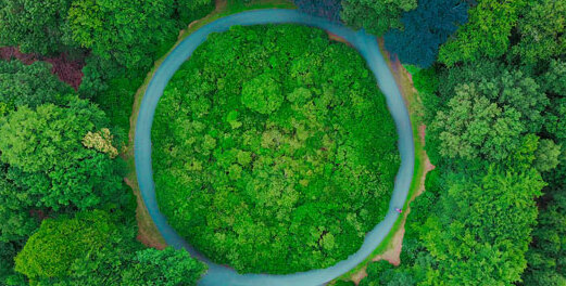 Closed loop vision Closed loop vision